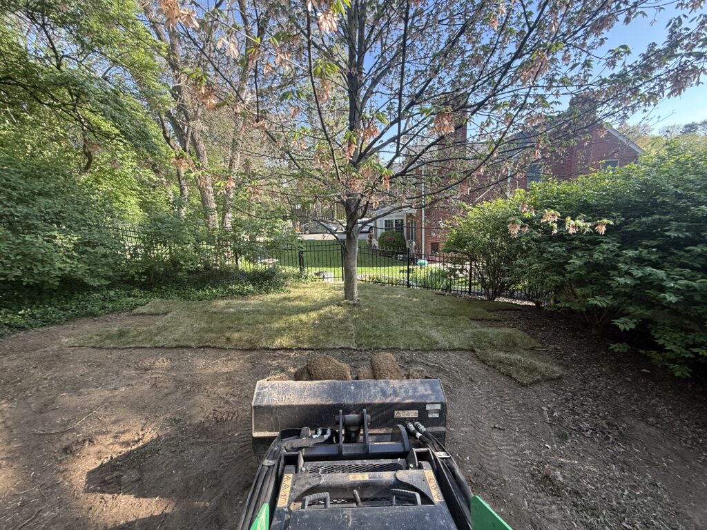 sod installation