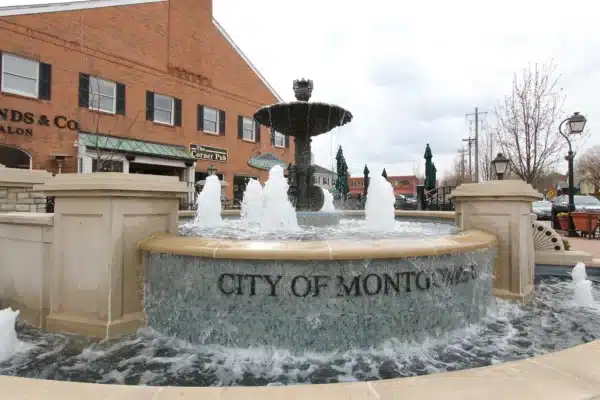 Montgomery Landscaping company