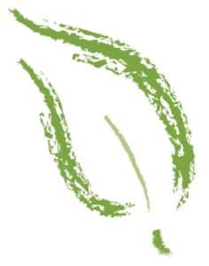 cincilandscap logo
